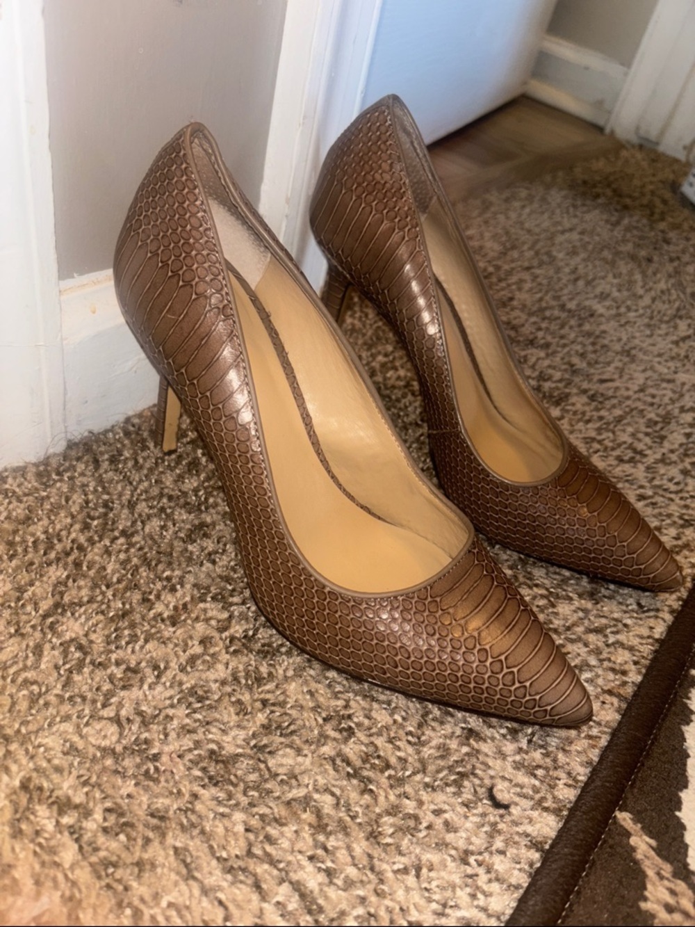 Ann Taylor Brown Snake-Embossed Pointed Toe Pumps